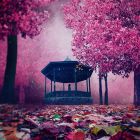 عکس عاشقانه عکس عاشقانه